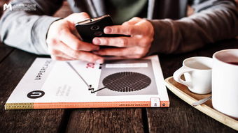 互联网产品运营体系构建 从产品运营到网络开发的协同之路